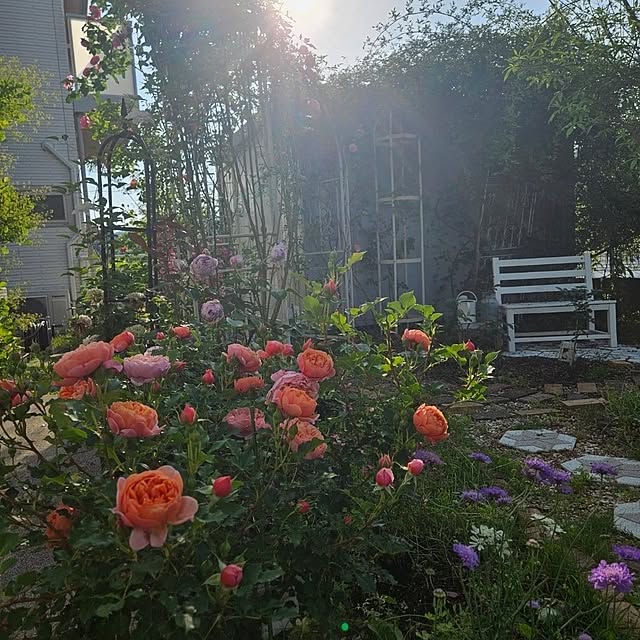 mayumiさんの実例写真