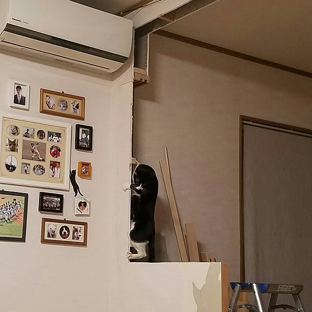 Kinanさんの実例写真