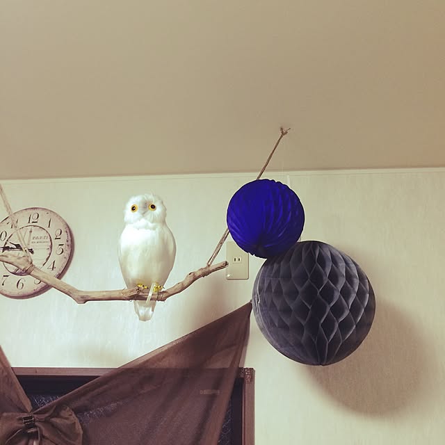 壁/天井/雑貨のインテリア実例 - 2015-04-27 21:46:54