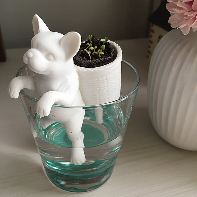 youmitsuさんの実例写真