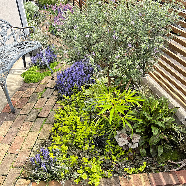 kyoko1124koさんの実例写真