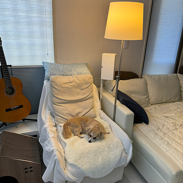 Rainyさんの部屋
