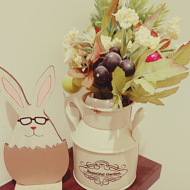 ayasinnkokyuuさんの実例写真