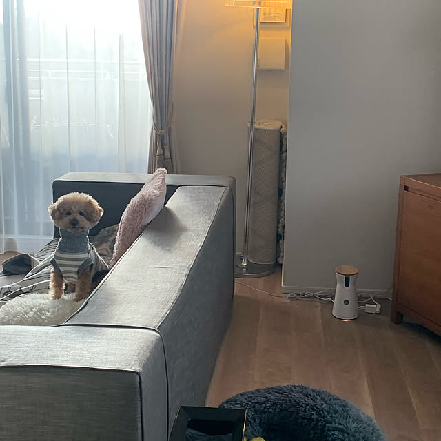 mococoさんの実例写真