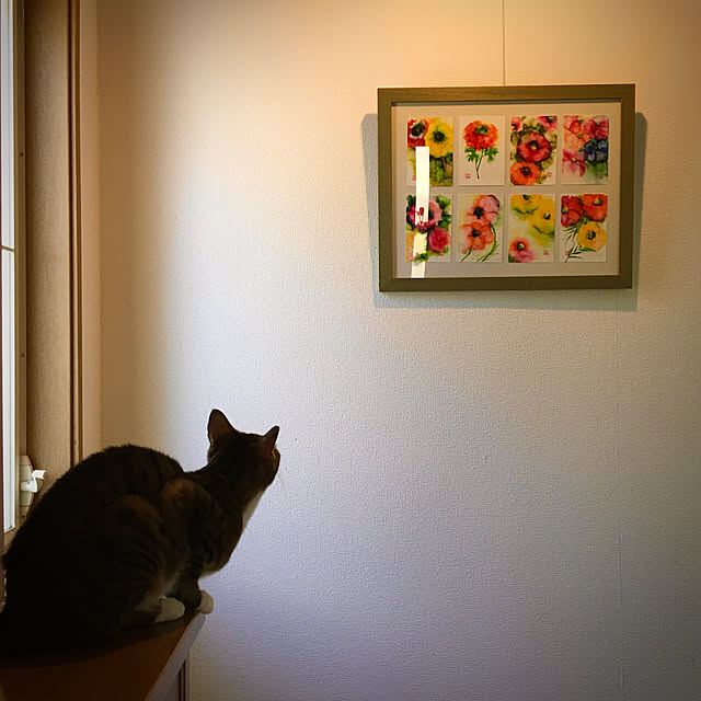 nobikoさんの実例写真
