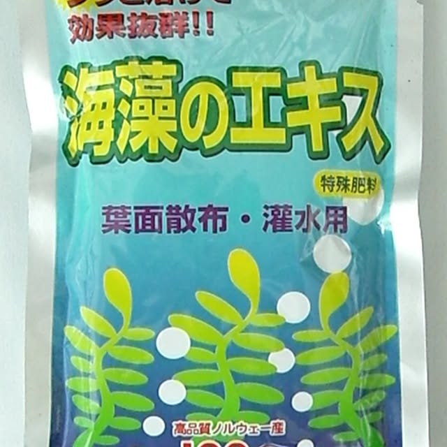 merirynさんの部屋