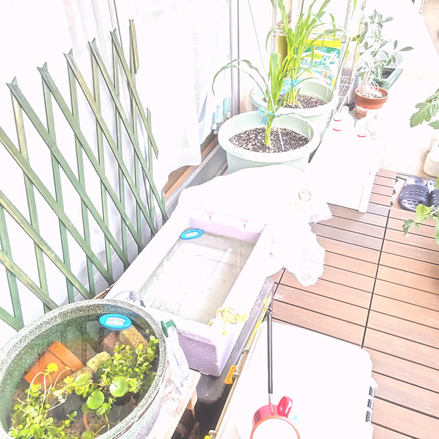 mariaさんの実例写真