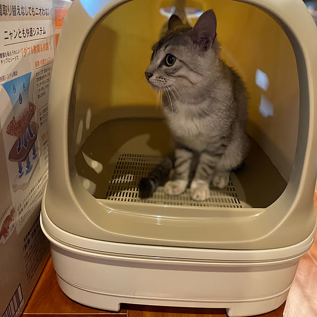 micaさんの部屋