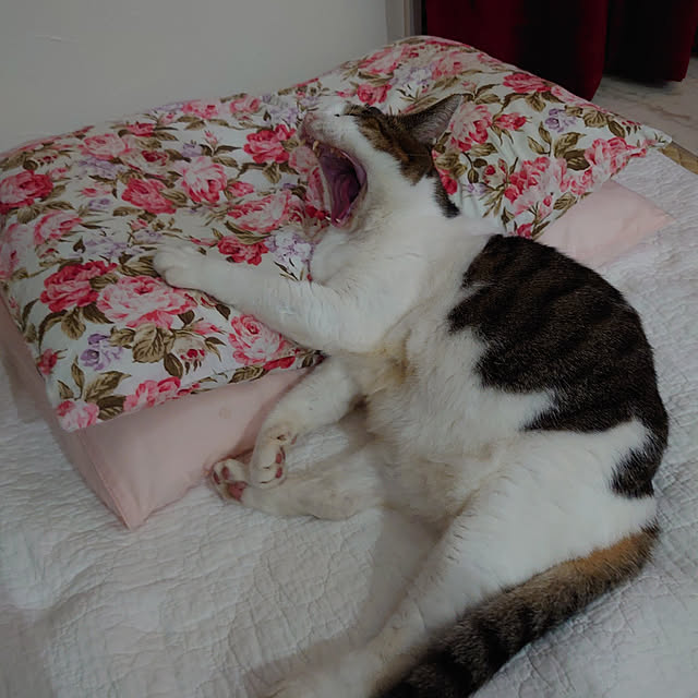 machikomamaさんの実例写真
