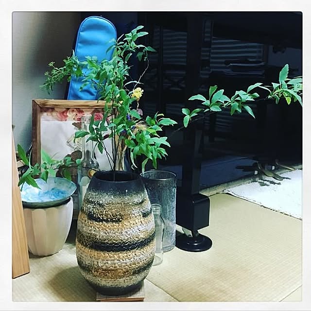 dongtaoliuさんの実例写真