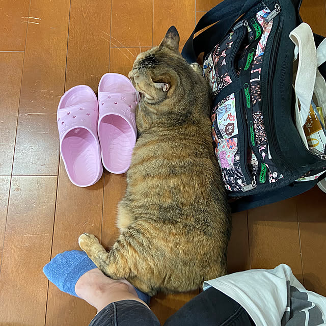 hansho.sさんの実例写真