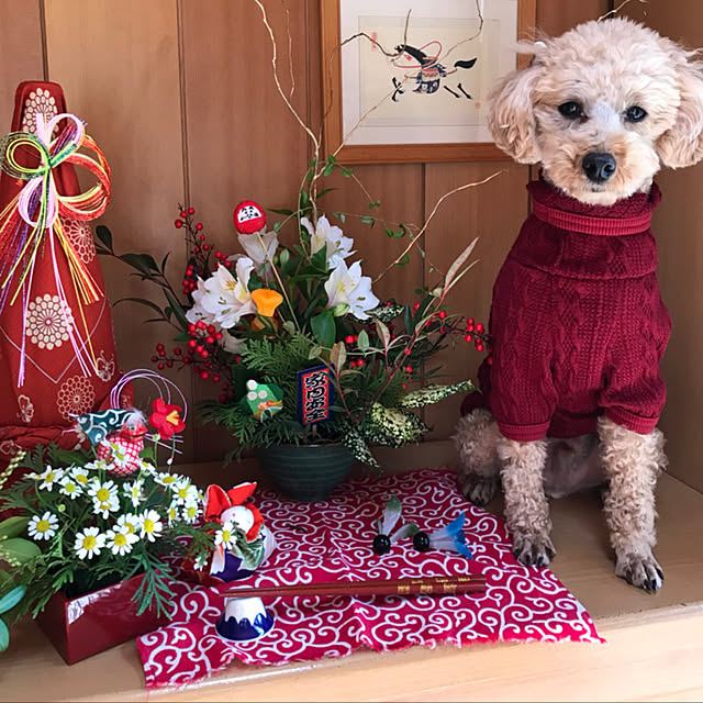 mary_loveさんの実例写真