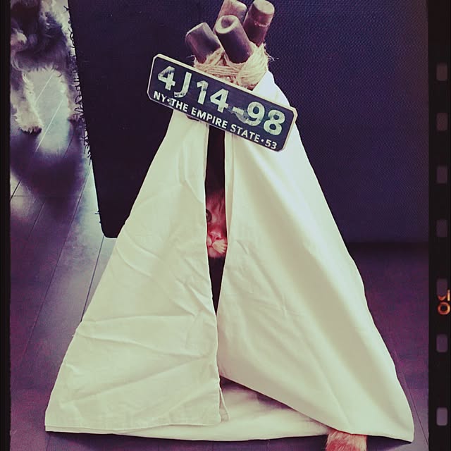 nickyさんの実例写真