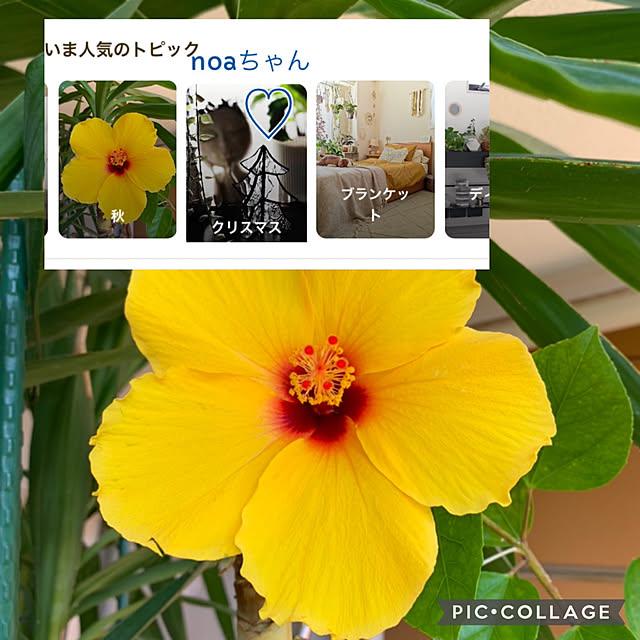 Aqettyさんの実例写真