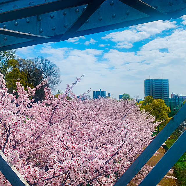 tututu0204さんの部屋