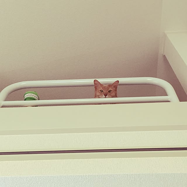 mofucatさんの実例写真