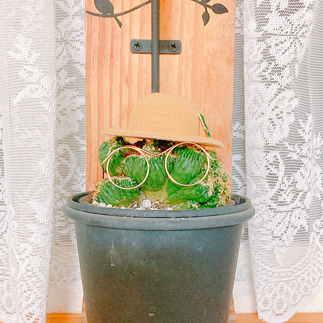 Hanakaさんの部屋
