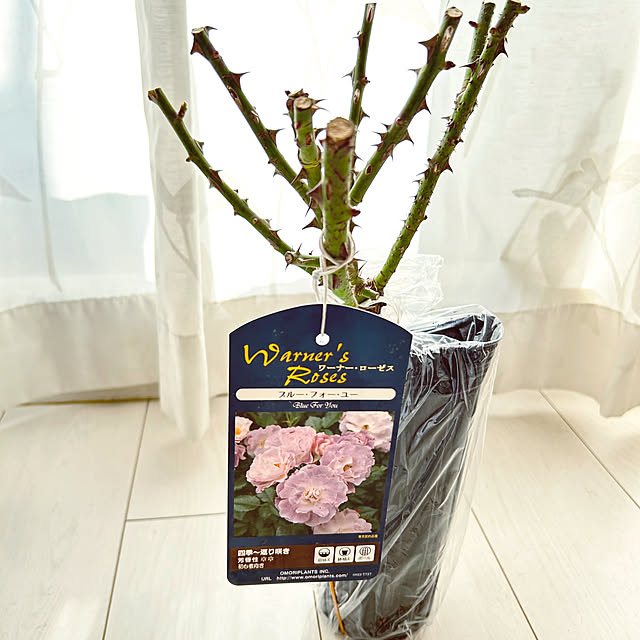 hiromimiさんの部屋