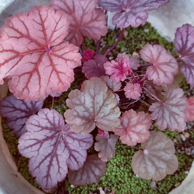 hiro.904さんの実例写真