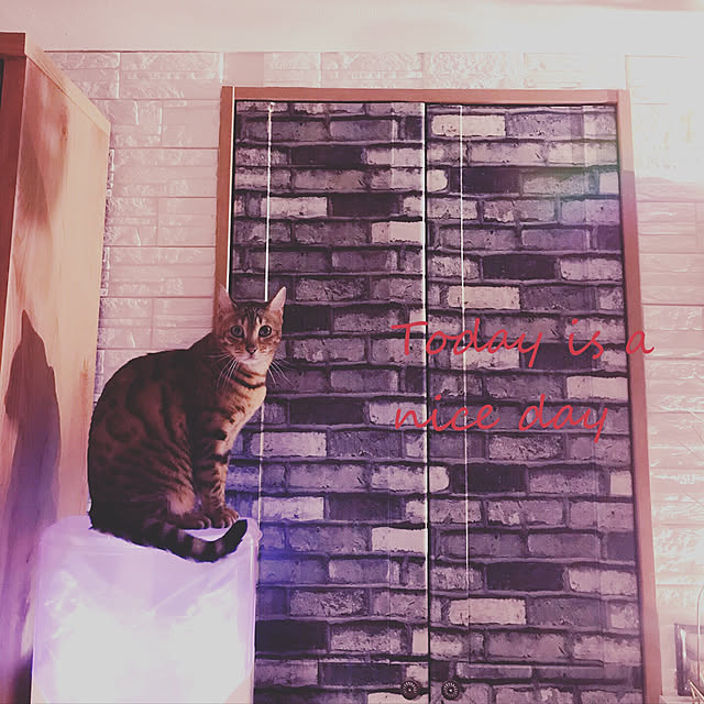 SAKICHIさんの実例写真