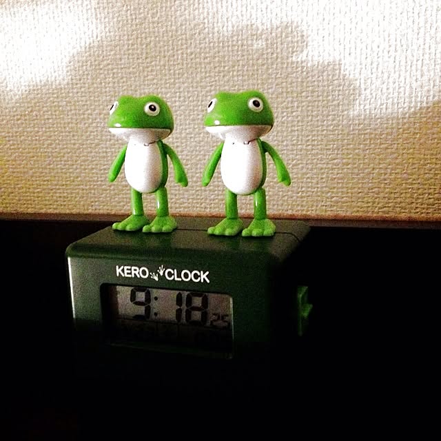 rukaさんの実例写真