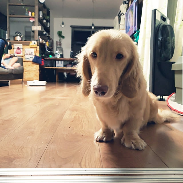 ciiiさんの実例写真