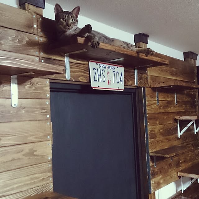 riroさんの実例写真