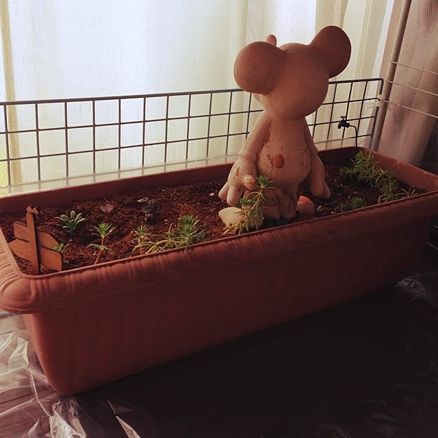 Saraさんの実例写真