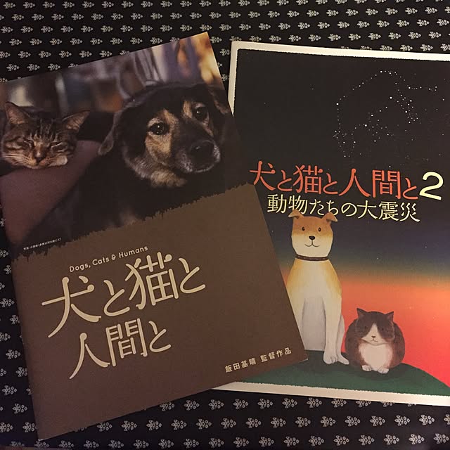 catwomanさんの実例写真