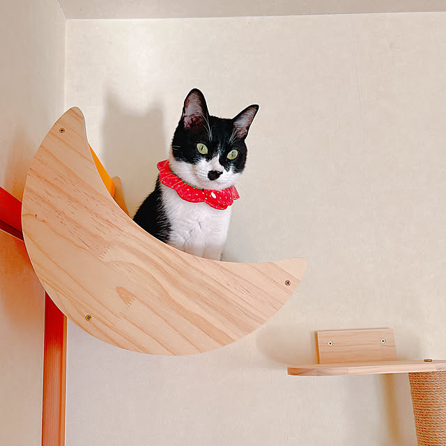 moolさんの実例写真