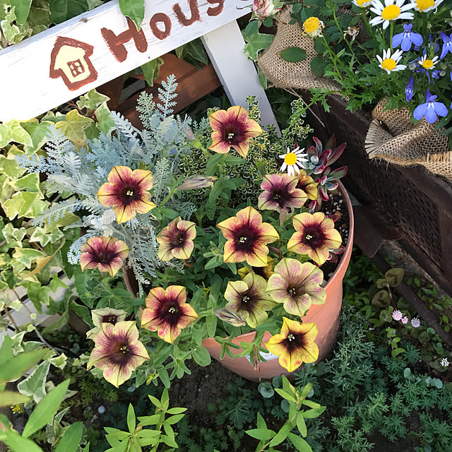 mini_archさんの実例写真