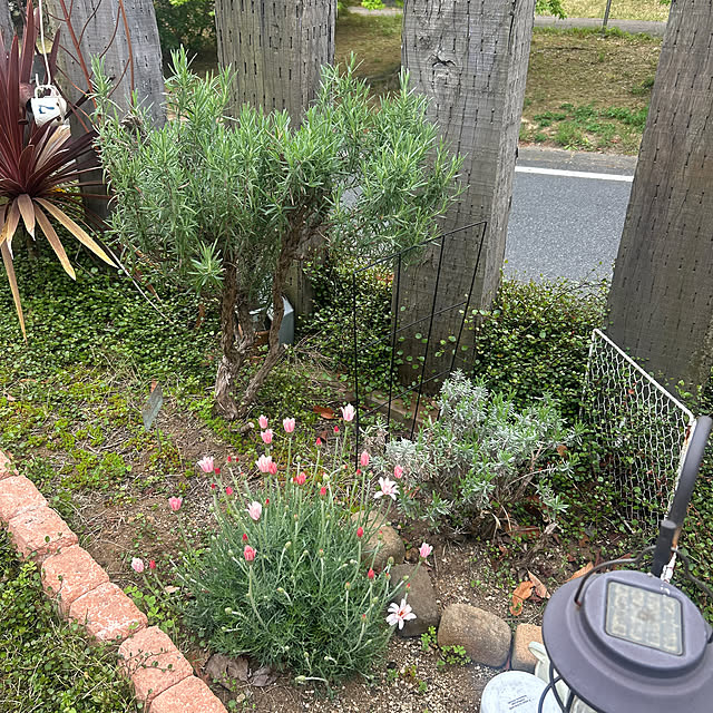 1TAさんの実例写真