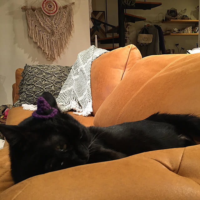 pitaさんの実例写真