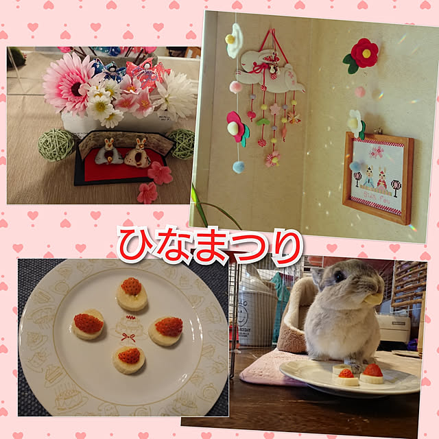 yokomokoさんの実例写真