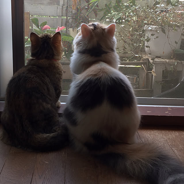 keibooさんの実例写真
