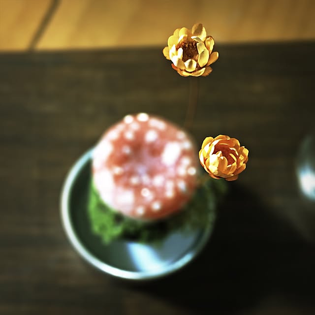 ramuchop3000さんの実例写真