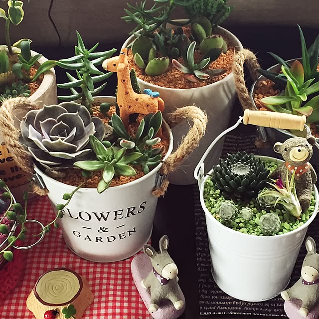 机/多肉植物かわいい/多肉植物のインテリア実例 - 2016-05-04 14:22:11