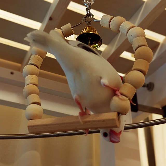 escargotさんの実例写真