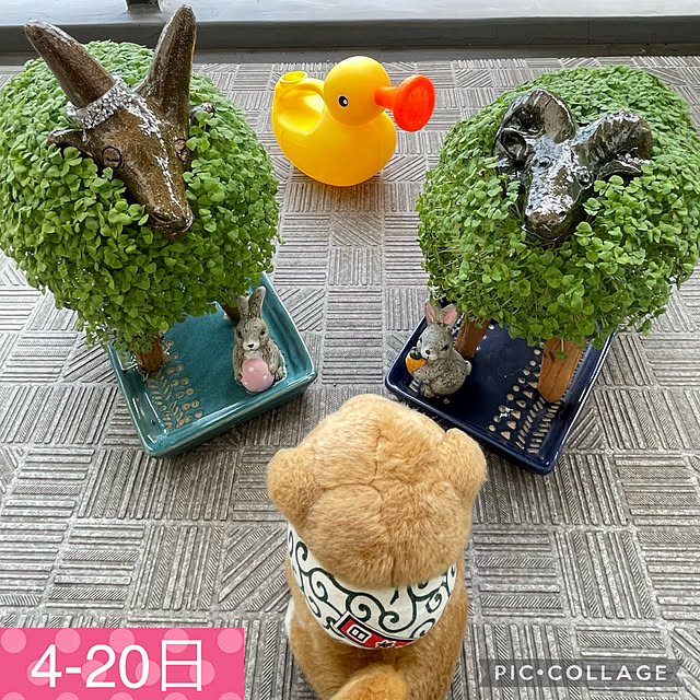 aureaさんの実例写真