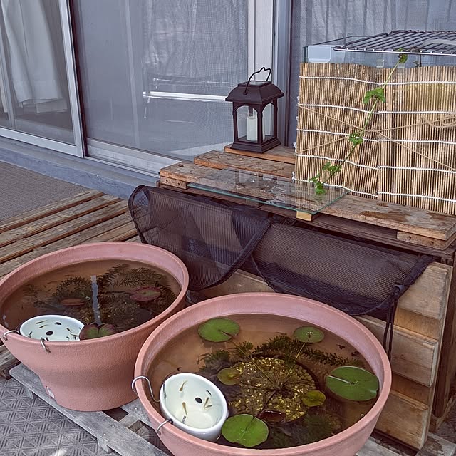 mi-saさんの部屋