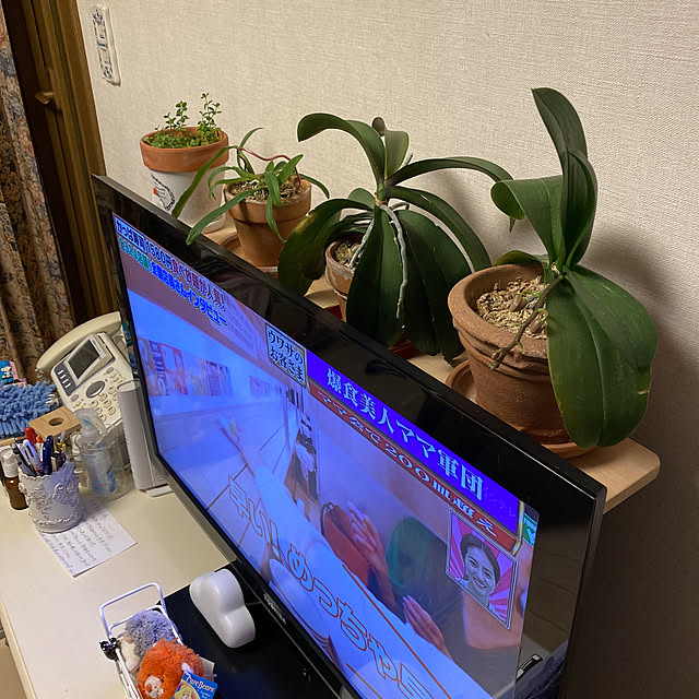 keijiさんの実例写真