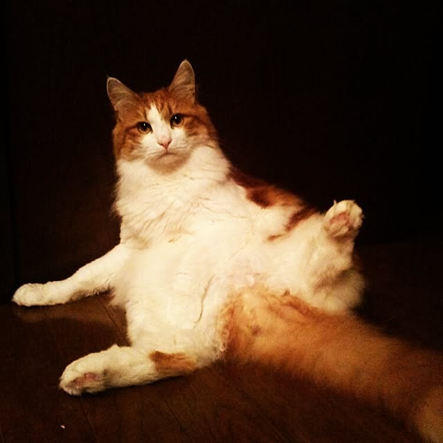 sukusuku834さんの実例写真