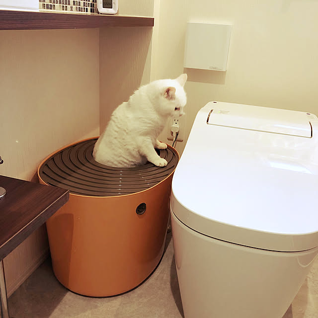 ha11na40さんの実例写真