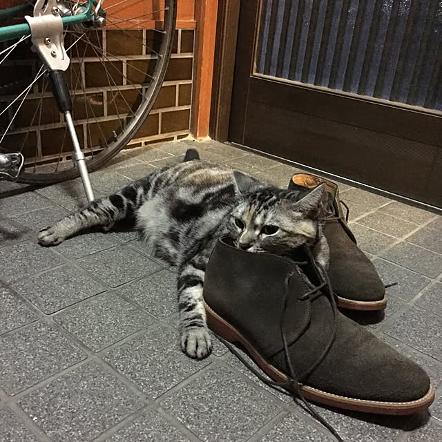 haruさんの実例写真