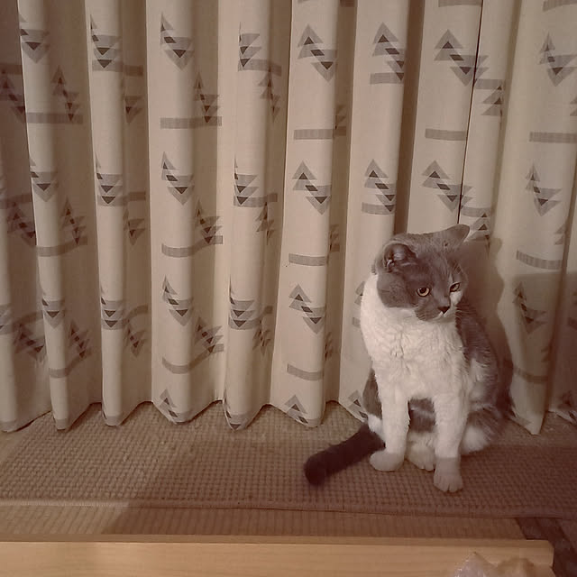 rhuさんの実例写真