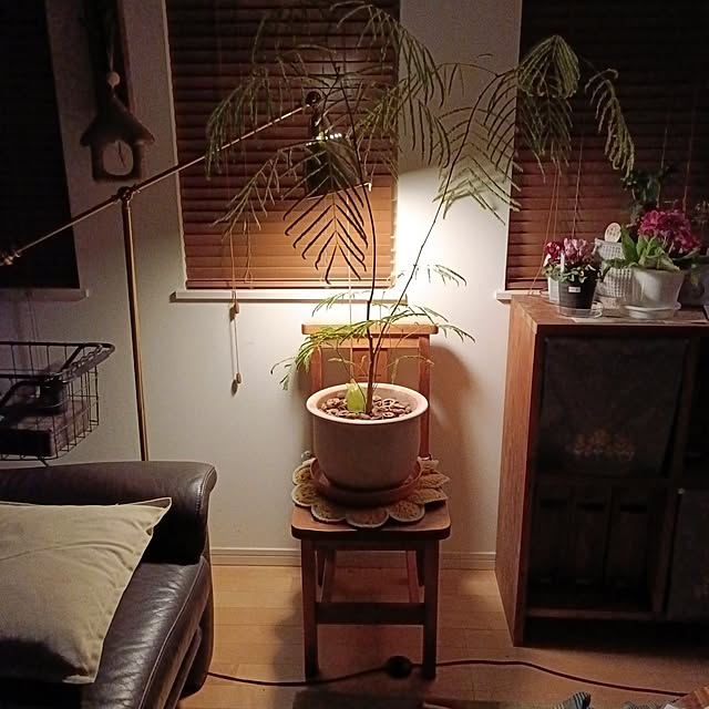 tamachan235さんの実例写真