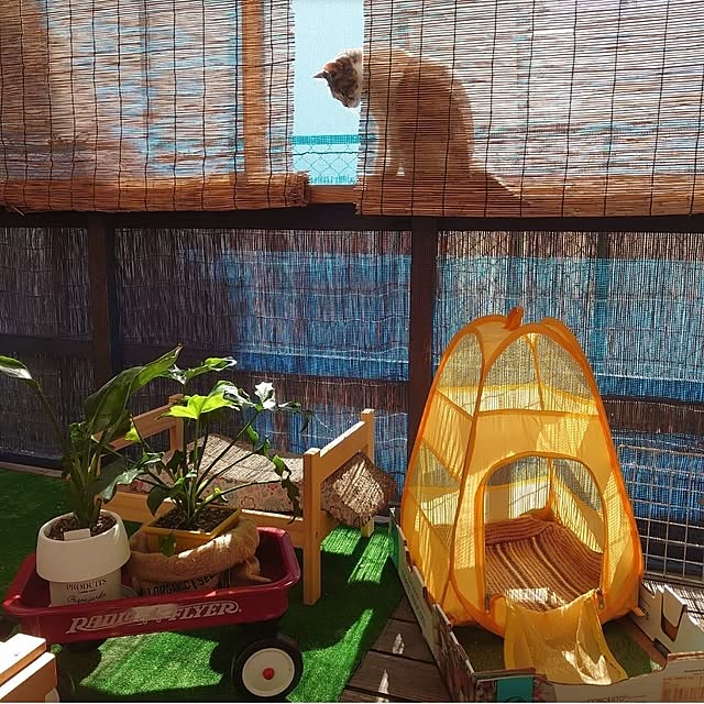 fukuさんの実例写真