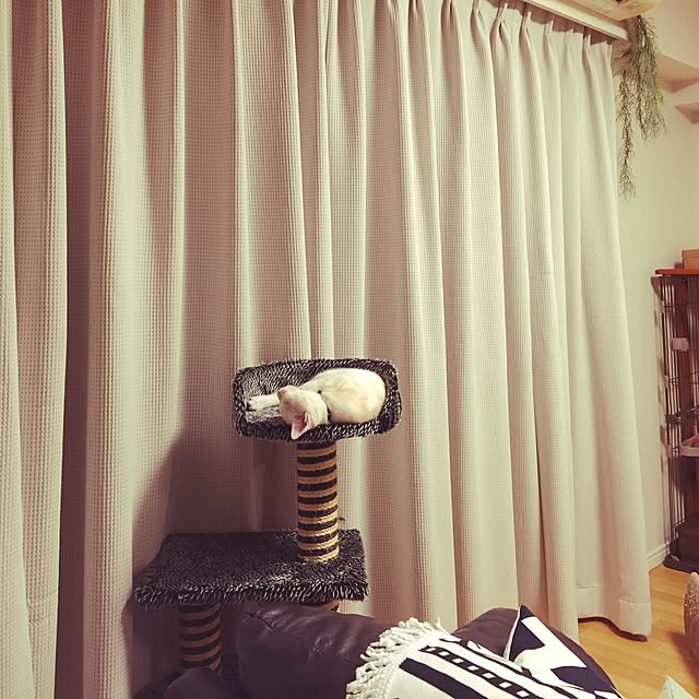 hiyupan88さんの実例写真