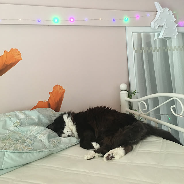 kanaさんの実例写真