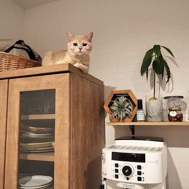 ayumiさんの実例写真